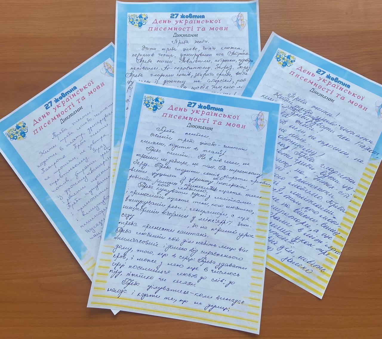 Photo 5474648435887050527 Y